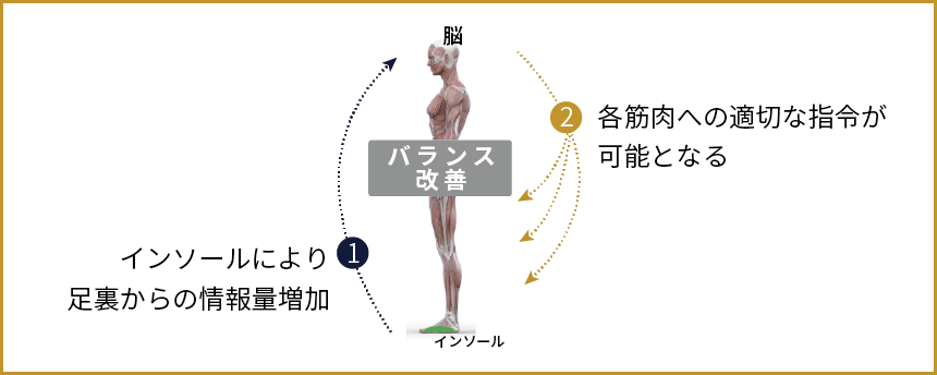 足裏の筋肉はバランス保持のセンサー。インソールでセンサー活性化